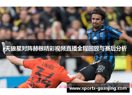 天狼星对阵赫根精彩视频直播全程回放与赛后分析
